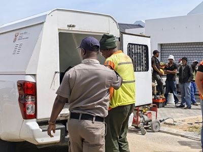 54 undocumented foreign nationals arrested in Plett operation