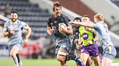 Springboks nearing return to action: Who’s up next for Rassie Erasmus and his team?