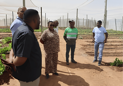 Packhouse gives NW farmers hope for a brighter future