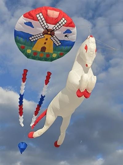 Garden Rout Kite Festival return to Sedgefield