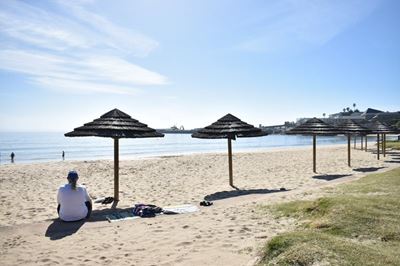 Mosselbaai-strande: Honde steeds nie hiér toegelaat vir komende seisoen