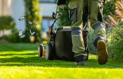 Five steps to revive rain-soaked lawns and get your garden summer-ready
