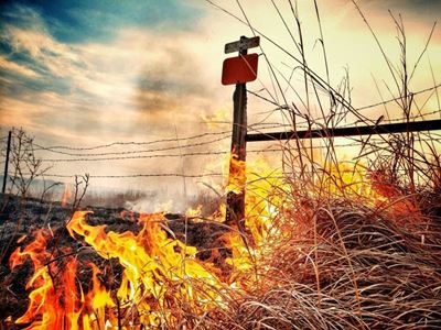 Drivers can prevent veld fires this season
