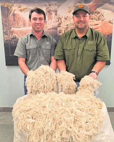 De Rust se Delport-broers behaal topprys van R950/kg vir sybokhaar