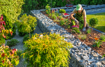 Garden Day: Six jobs to tackle before planting this spring