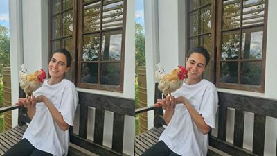 From abuse to couch naps: Lucy the chicken has found a home