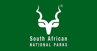 Kudu tests positive for foot-and-mouth disease in Addo Elephant National Park