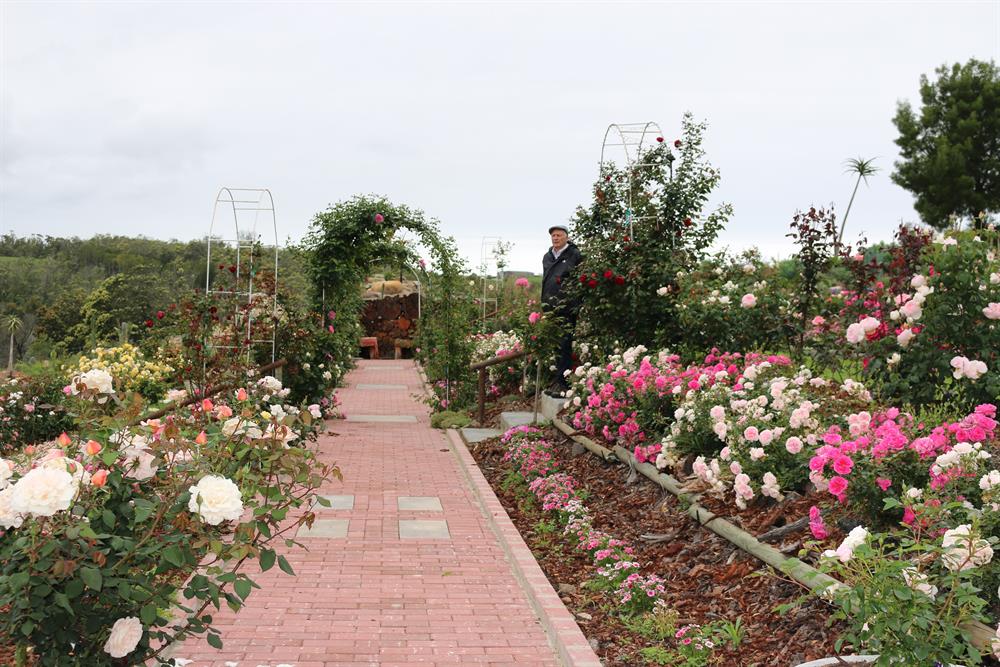 Hoekwil Open Gardens returns for 10th anniversary with six stunning gardens