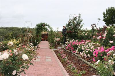 Hoekwil Open Gardens returns for 10th anniversary with six stunning gardens