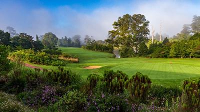 PDSA George hosts charity fundraising golf day at George Golf Club