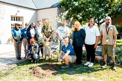 35 indigenous trees planted at Cango Academy for Arbor Month
