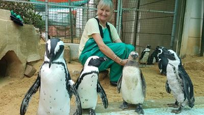 Our Person - Meet: Carol Walton