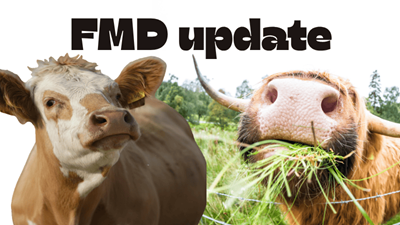 Private sector to help boost local FMD vaccine production