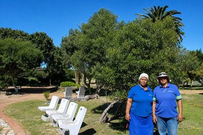 Olienhout 'n natuurlike keuse vir Stilbaai
