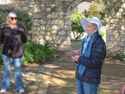 Inheemse plante vir Stilbaai se tuine