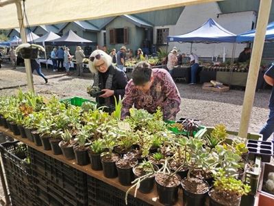 Verplantfees lok talle besoekers