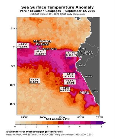 Are Knysna and Plett ready for El Niño?