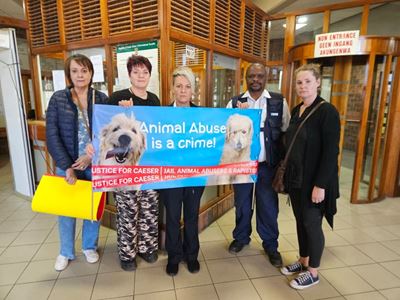 Mossel Bay bestiality accused back in court