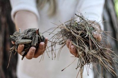 Get your garden ready for a hotter, drier summer