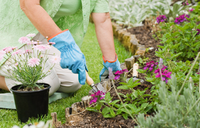 Hotter, drier summer ahead? 5 ways to make your garden water-wise and Garden Day ready