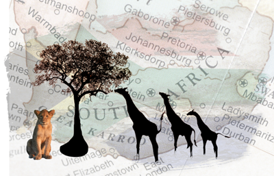 Explore your own country: Tourism Month puts local businesses in the spotlight