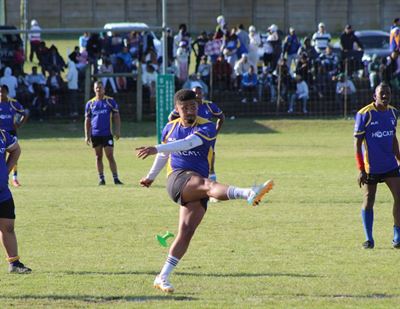 Seagulls los beste vir laaste