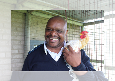 Operation Lucy: 50km drive to rescue hen