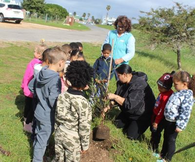 Die Stilbaai Kindersentrum vier Boomplantdag met sandolyf by Jagersbosch