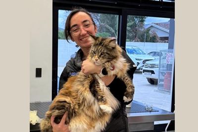 More than just a vet visit: How can we help?