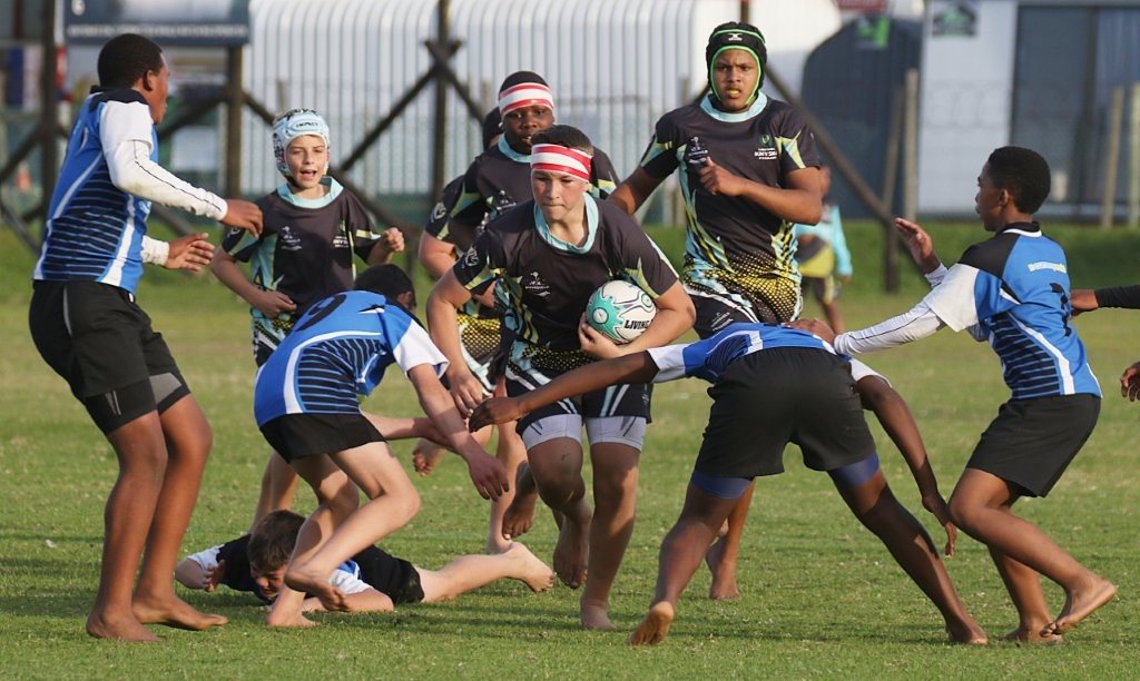 Laerskool Knysna-rugbyspanne in klas van hul eie