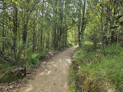 Arbor Month: Conservation starts at home