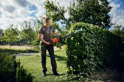 Spring gardening: 5 ways to reuse branches and garden waste