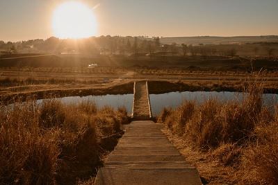Why doing nothing may be exactly what we need