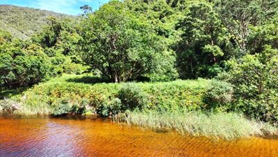 What to do in the Garden Route this Parks Week 