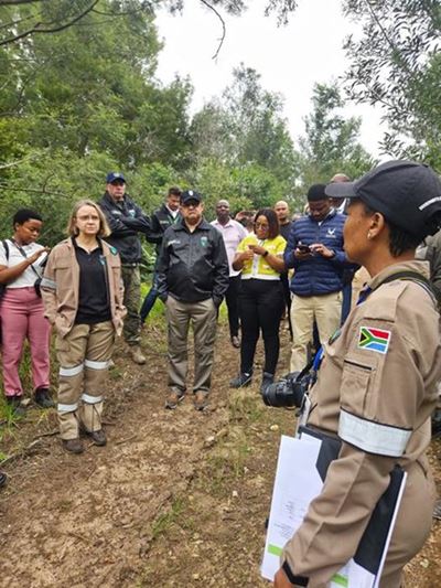 Invasive species crackdown launched in Plettenberg Bay