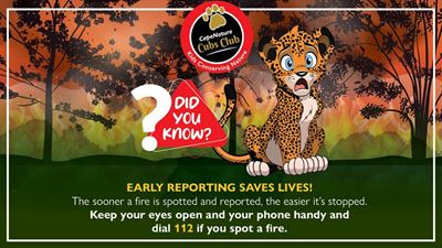 Public urged to stay alert this fire season: Wildfire prevention saves lives and the environment