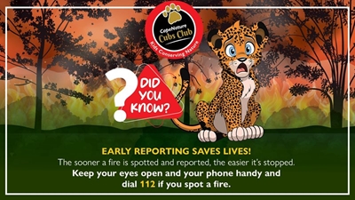 Public urged to stay alert this fire season: Wildfire prevention saves lives and the environment