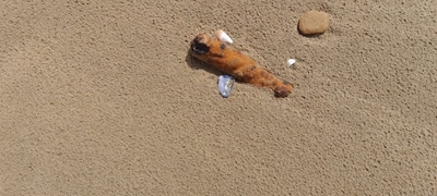 Parts of shipwreck can be seen on Dias Beach again