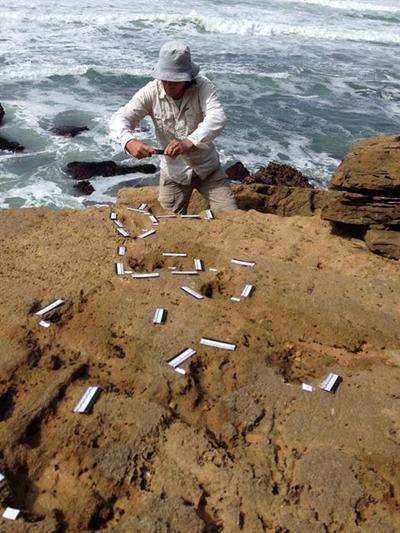 Tracking Stone Age people on our coast
