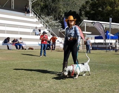 Pooches pull in the crowds