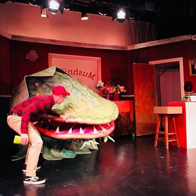 Audrey II redefines the art of horticulture