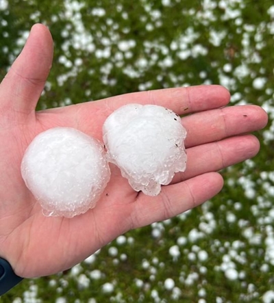Hael in Steynsburg