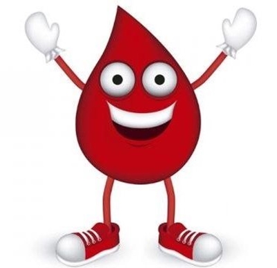 Garden Route schools tops in blood drive