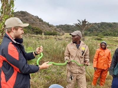 Green mamba rescued amid increased snake activity