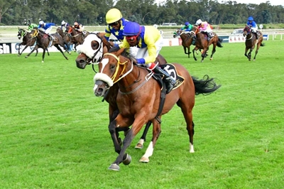 Sean Tarry packs a Gold Cup punch