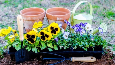 Spring is in the air!