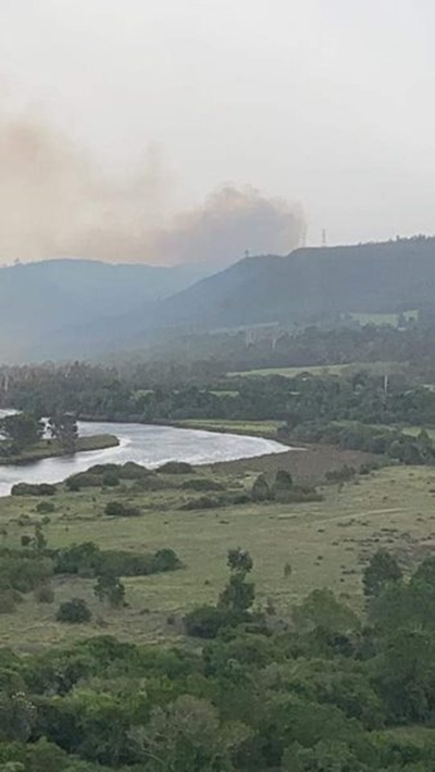 Knysna, Sedgefield, Plett without power due to fire 