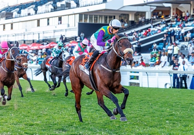 Selukwe gallops into the big time