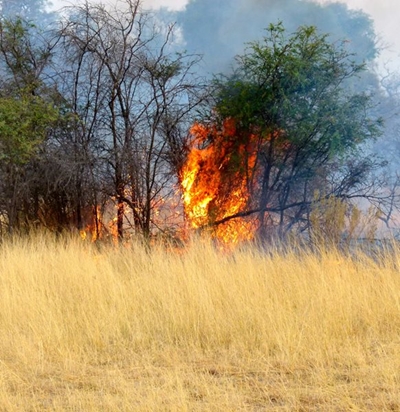 Weather warning: Veldfire conditions