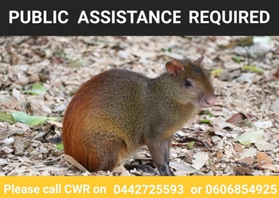 Cango is requesting assistance